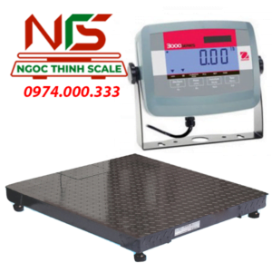 CÂN SÀN ĐIỆN TỬ T31P 1TẤN 2TẤN 3TẤN 5TẤN