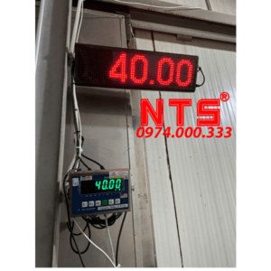 CÂN TREO HEO  MẢNH AMCELL IND236-E00