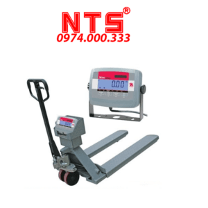 CÂN XE NÂNG ĐIỆN TỬ OHAUS T31P