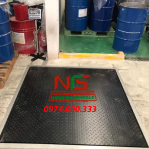 CẦN SÀN ĐIỆN TỬ ÂM NỀN 3000KG