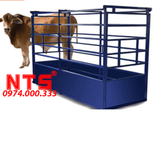 CÂN BÒ ĐIỆN TỬ 500KG-2TẤN