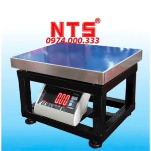 CÂN ĐIỆN TỬ GHẾ TPS DH