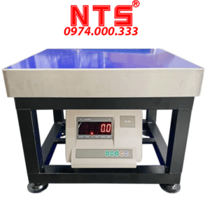 CÂN ĐIỆN TỬ GHẾ A12E