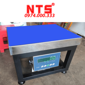 CÂN ĐIỆN TỬ GHẾ B19S