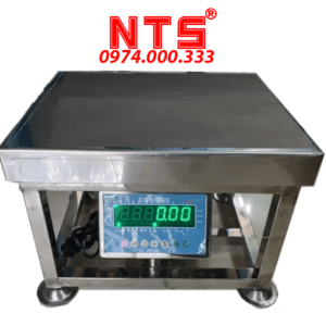 CÂN GHẾ THỦY SẢN DS166SS