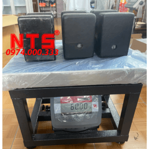 CÂN ĐIỆN TỬ GHẾ T31P 60KG 100KG 150KG 300KG 500KG