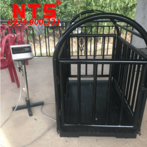 CÂN ĐIỆN TỬ GIA SÚC A12 500KG,1TẤN