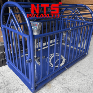 CÂN HEO ĐIỆN TỬ DS166 500KG 1TẤN