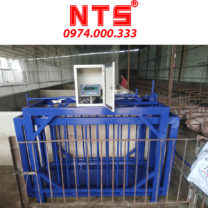 CÂN HEO ĐIỆN TỬ DS166 500KG-1TẤN