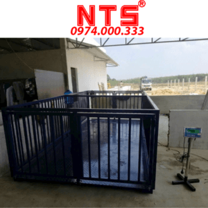CÂN ĐIỆN TỬ CÂN HEO NHIỀU CON 500KG 1TẤN 2TẤN