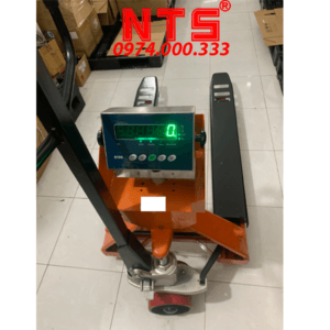 CÂN ĐIỆN TỬ XE NÂNG PALLET B19S