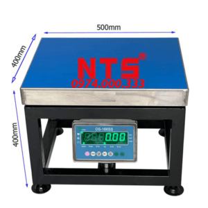 CÂN ĐIỆN TỬ GHẾ NTS DS166SS