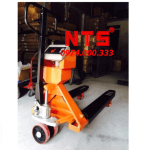 CÂN ĐIỆN TỬ  XE NÂNG TPS-DH