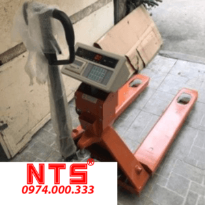 CÂN XE NÂNG ĐIỆN TỬ MÁY IN A9P