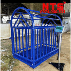 CÂN HEO ĐIỆN TỬ NTS DS166SS 500KG 1000KG