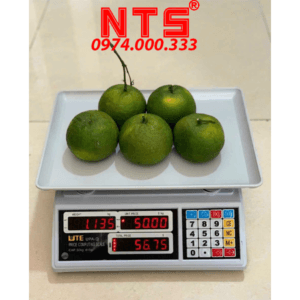 CÂN TÍNH TIỀN UPA-N