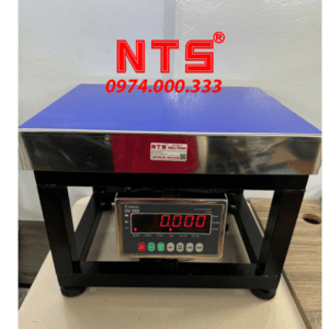 CÂN ĐIỆN TỬ GHẾ NTS DIGI 166SS (LED ĐỎ)