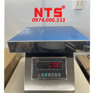 CÂN GHẾ HỘP NTS DS-166SS