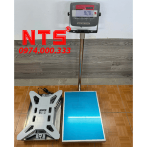 CÂN NTS T31P (OHAUS) 390mmX530mm BÀN ĐÚC NGUYÊN KHỐI NHÔM