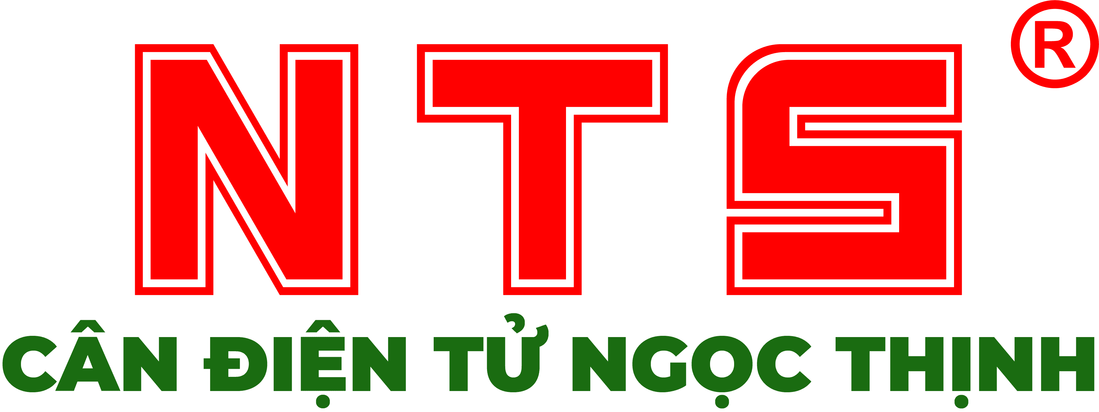 CÂN ĐIỆN TỬ NGỌC THỊNH